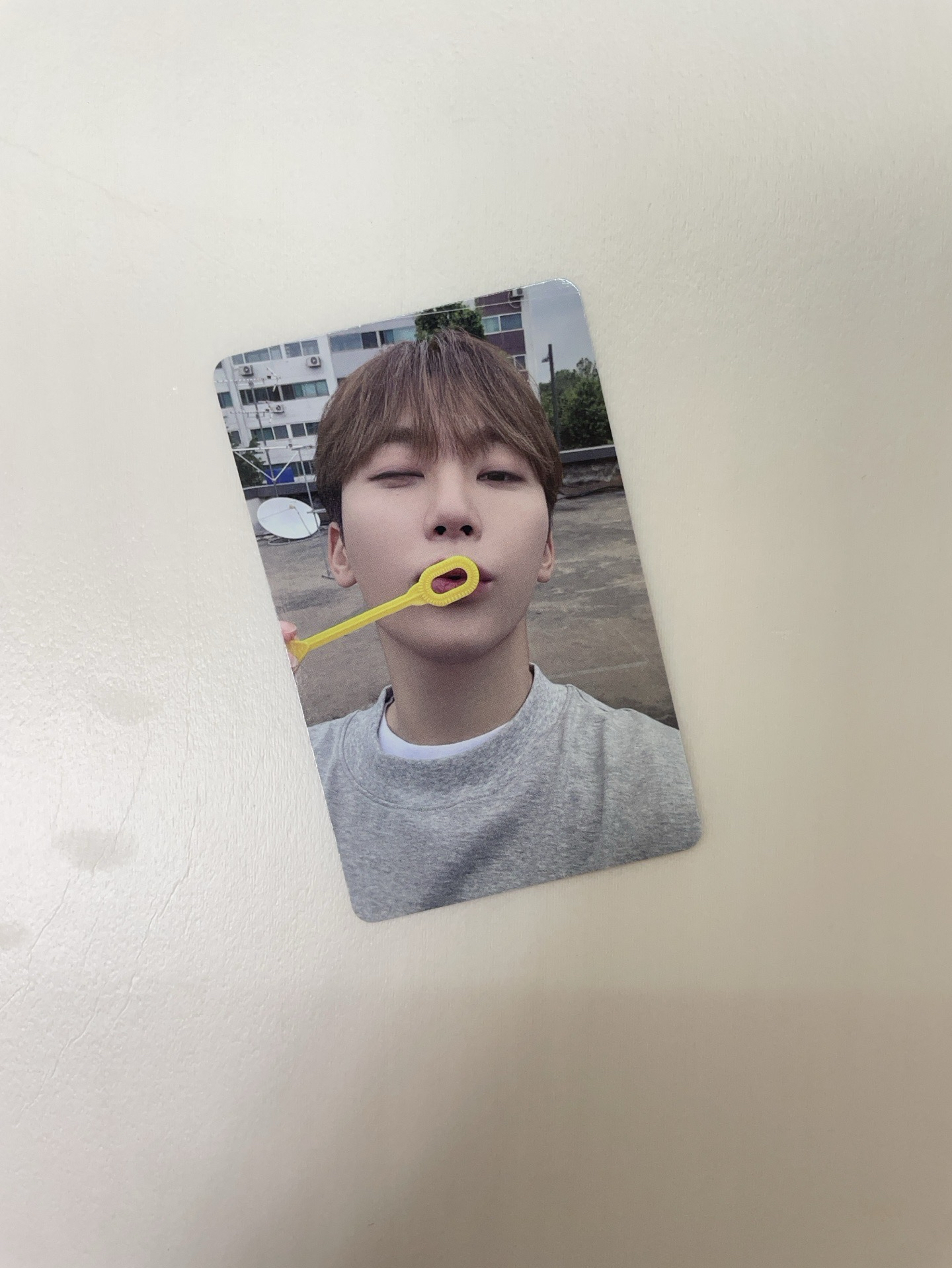 寛 ALWAYSYOURS WVS愛知場限(綁500)/泡泡寛