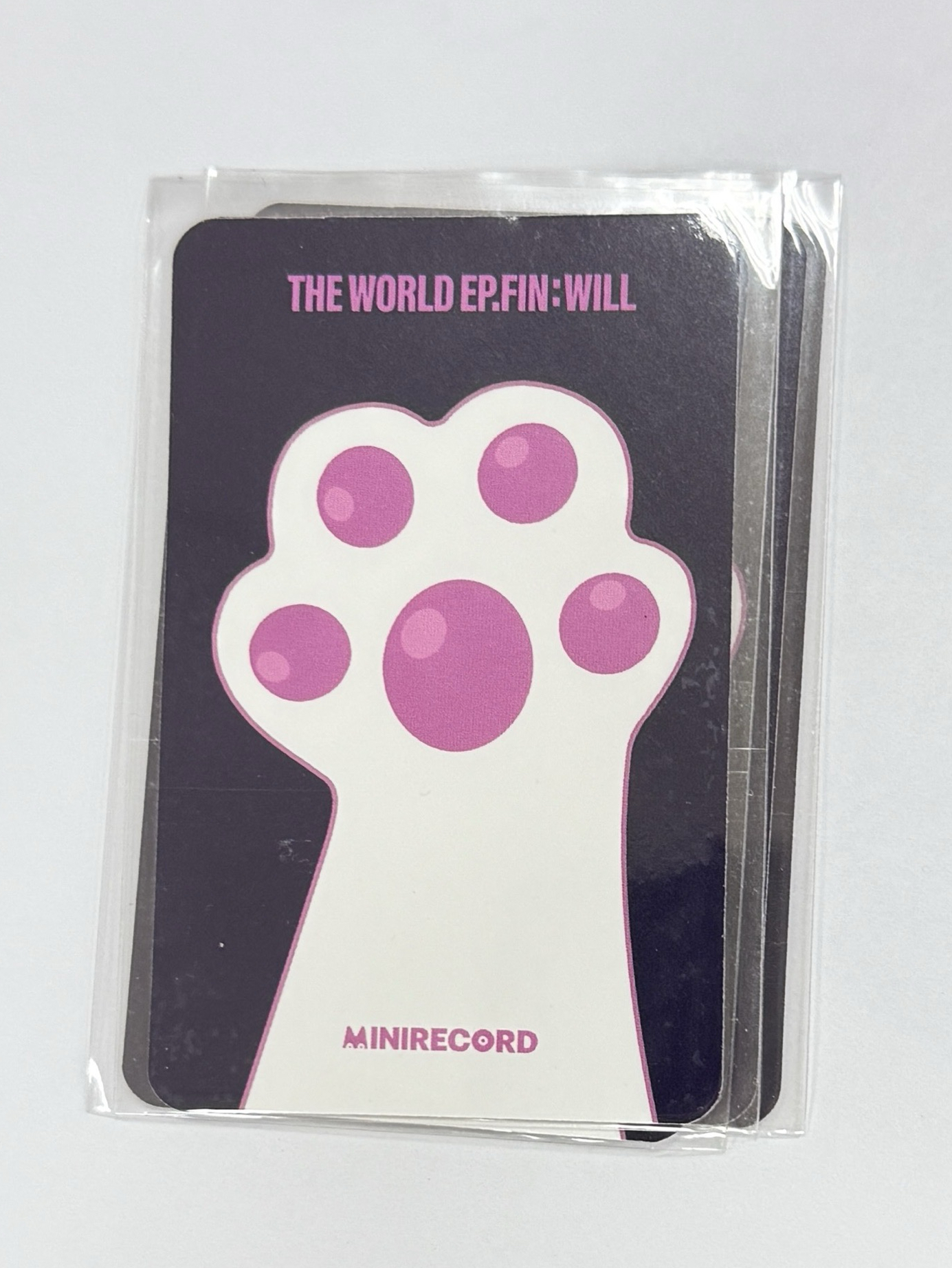 EP. Fin MINIRECORD 貓掌 友榮