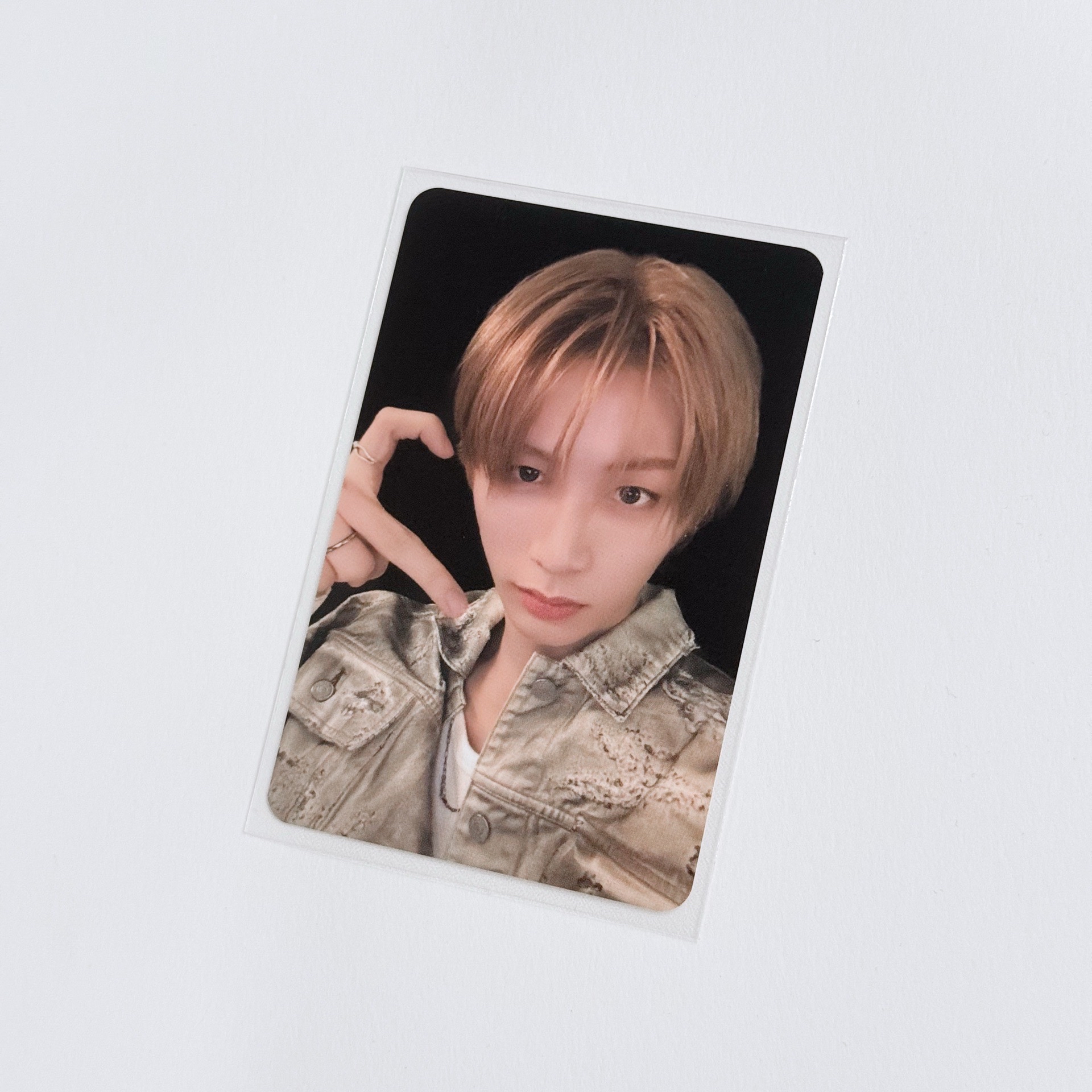 快閃自拍 泰山 雲鶴