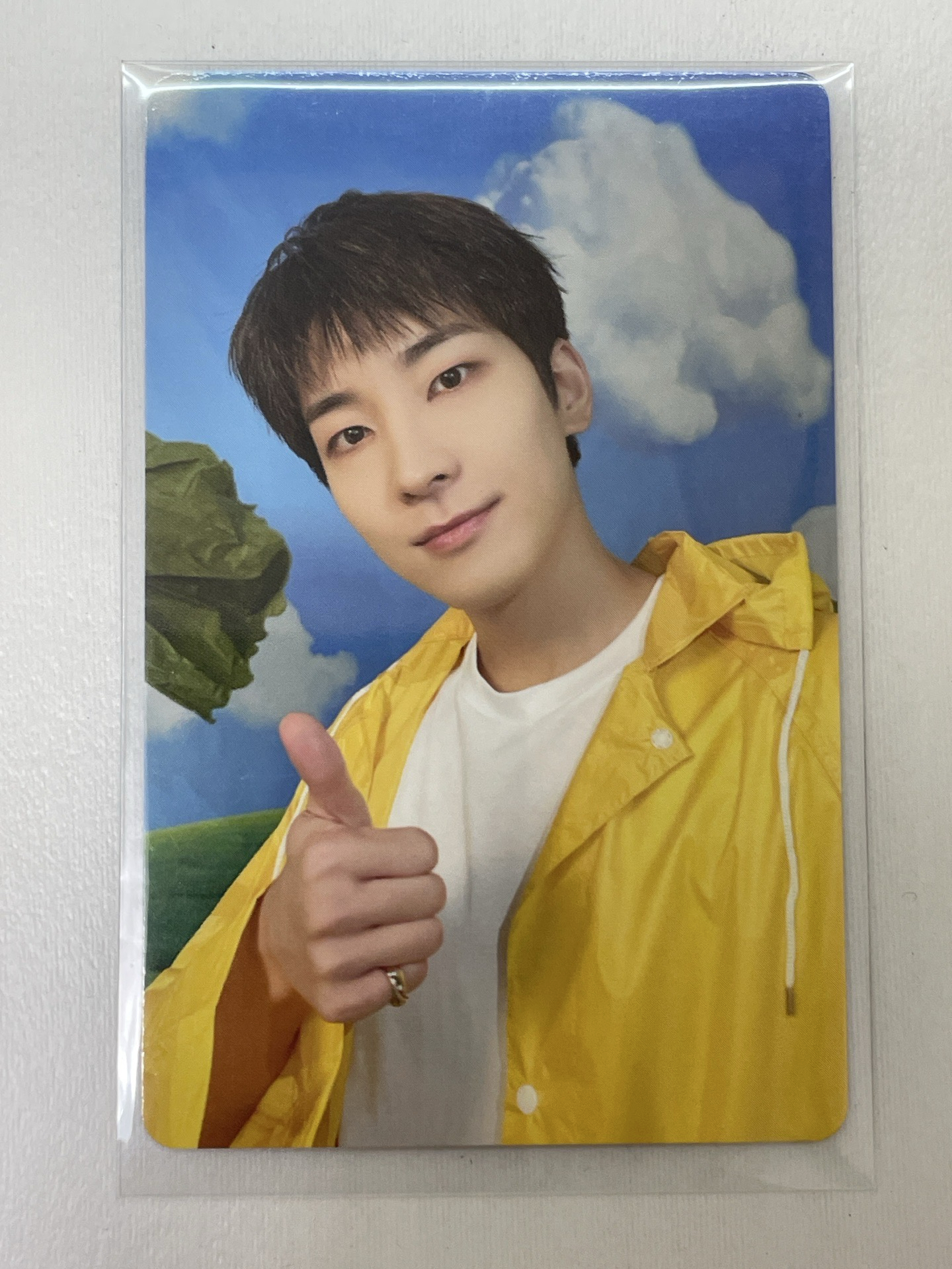 圓 迷11克拉盤專卡(綁15)