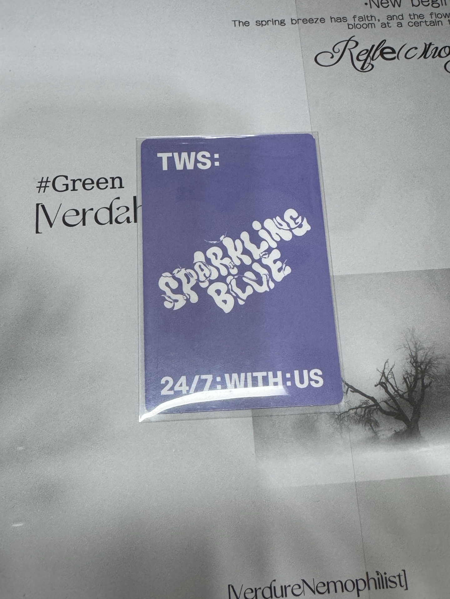 Sparkling Blue 専輯卡-志薫