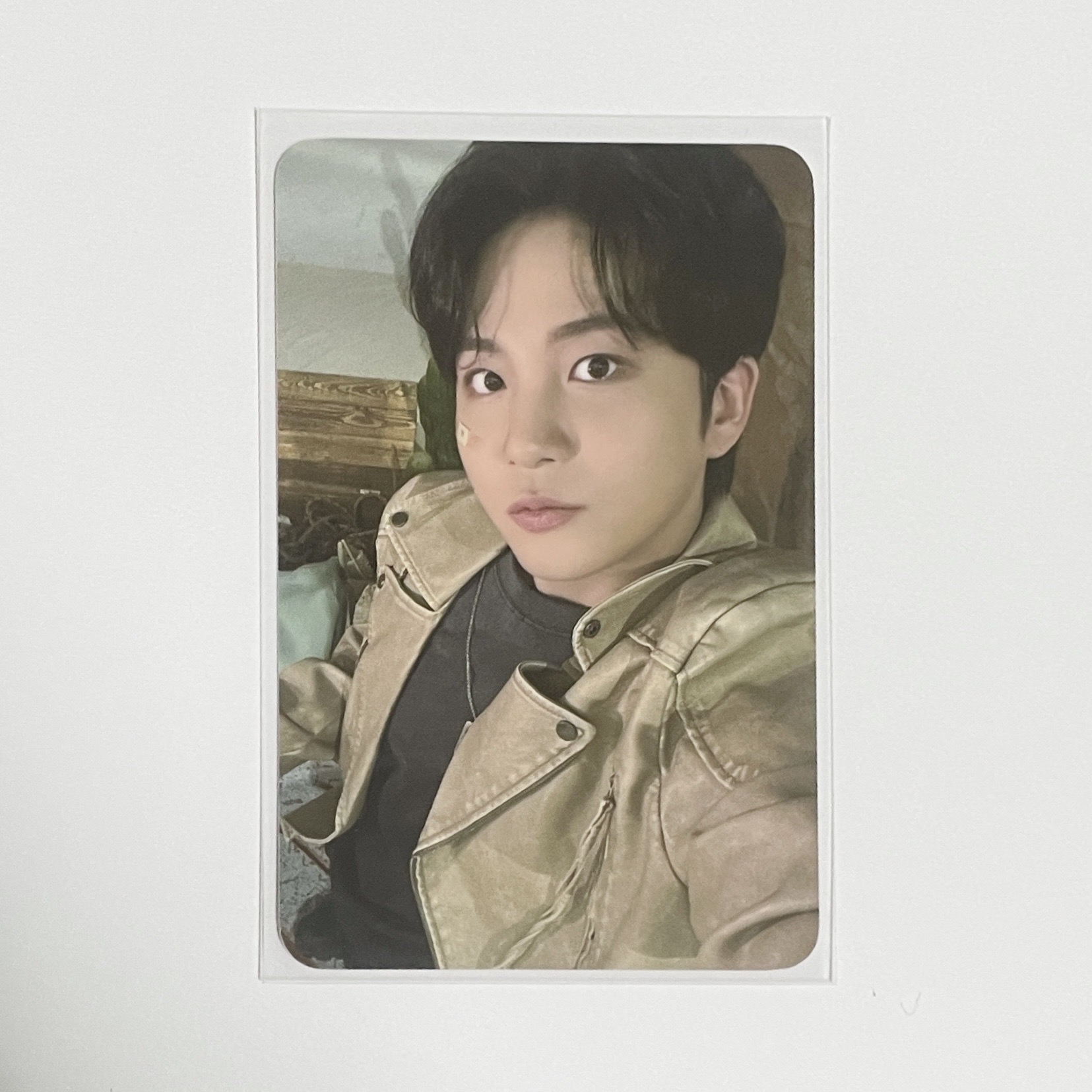 🩵寶藏小動物鍾浩卡包卡