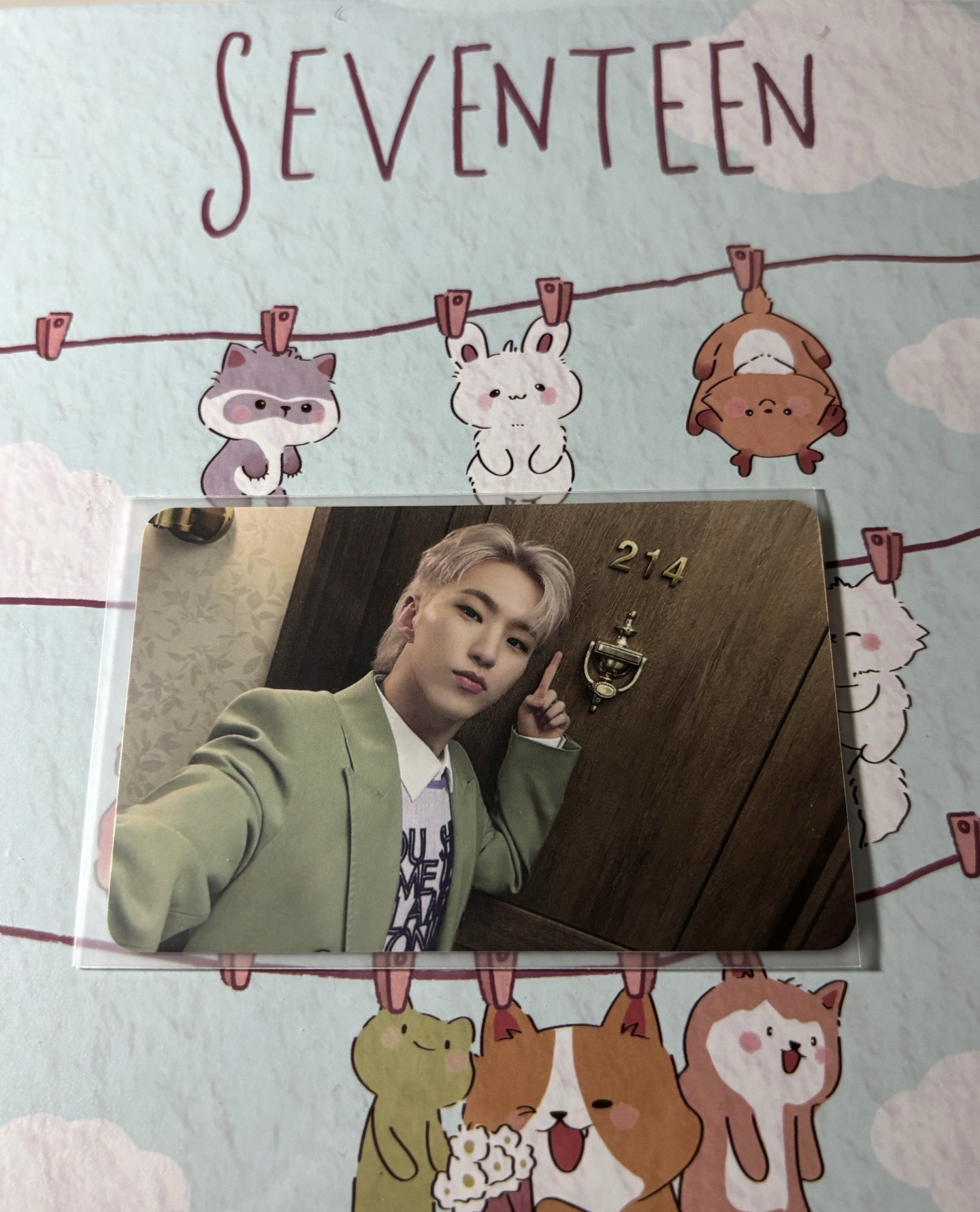 迷12 mini12 克拉盤 carat ver.專卡 榮