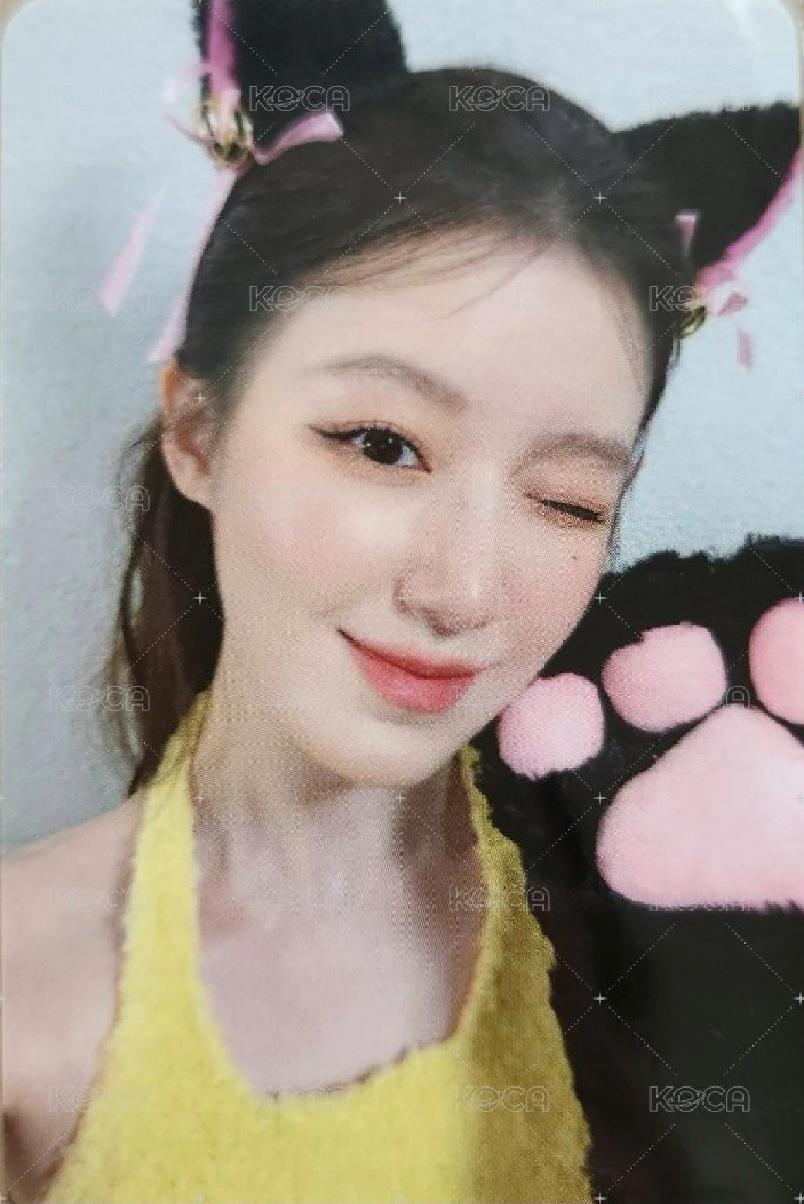 貓抓刷