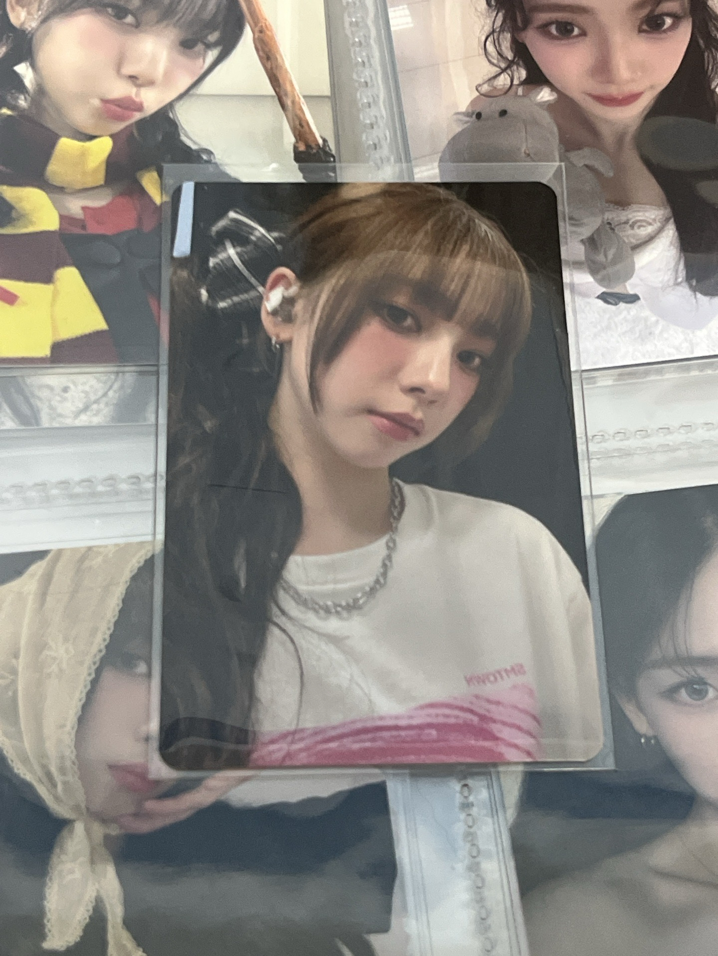 華納柚