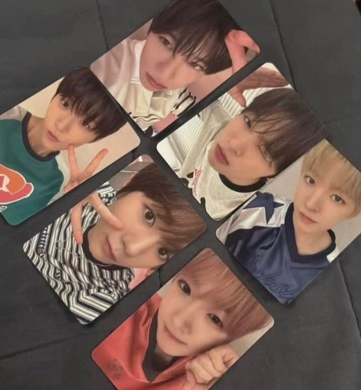 標價綁圖二小樹