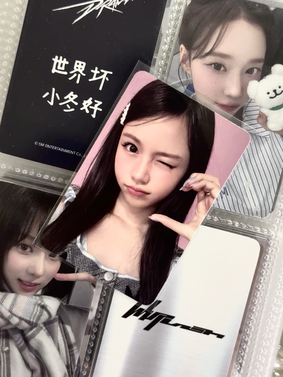 ☃️ Focus 迷你一 專卡Carmen