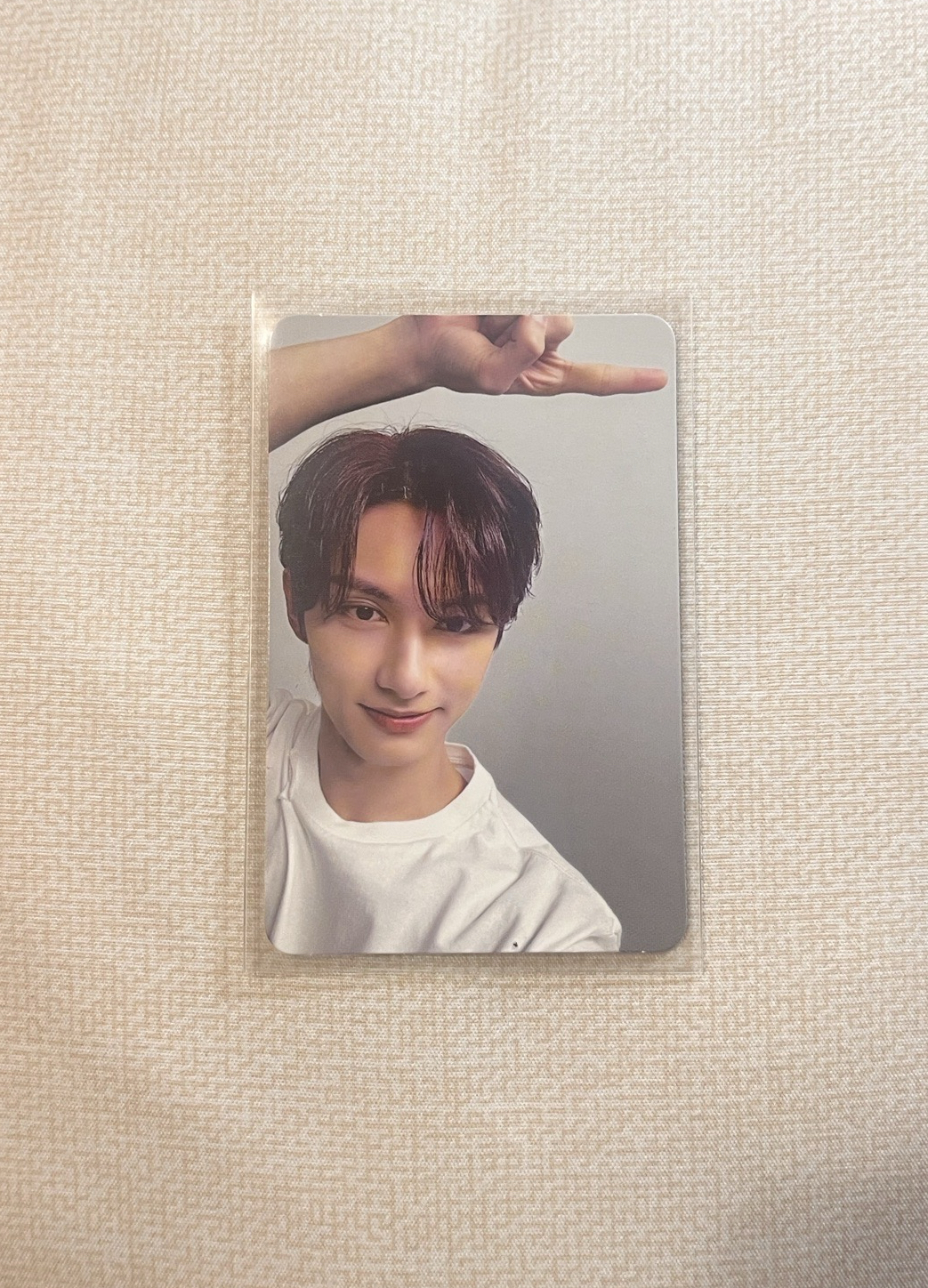 俊 專輯卡 CARAT ver.