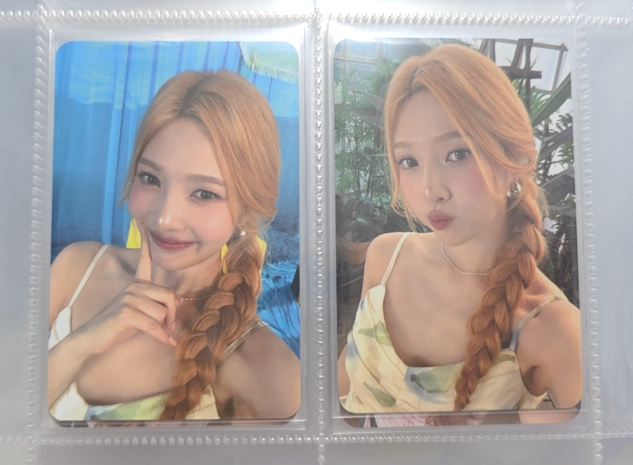 Joy 迷一 dingo一套