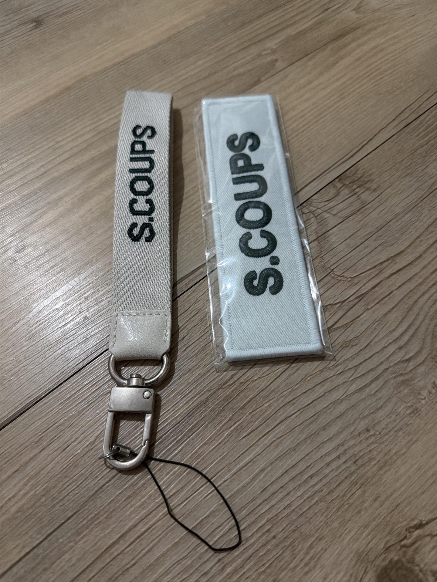 SEVENTEEEN RIGHT HERE 日巡周邊 S.coups