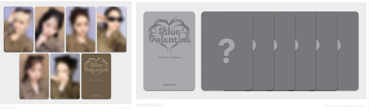 MS寵物石、風衣 莉 特典