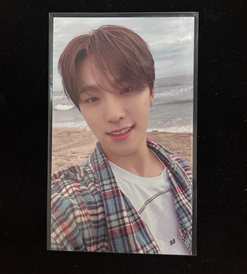 🌼 seventeen 環球福岡卡 Dino 燦