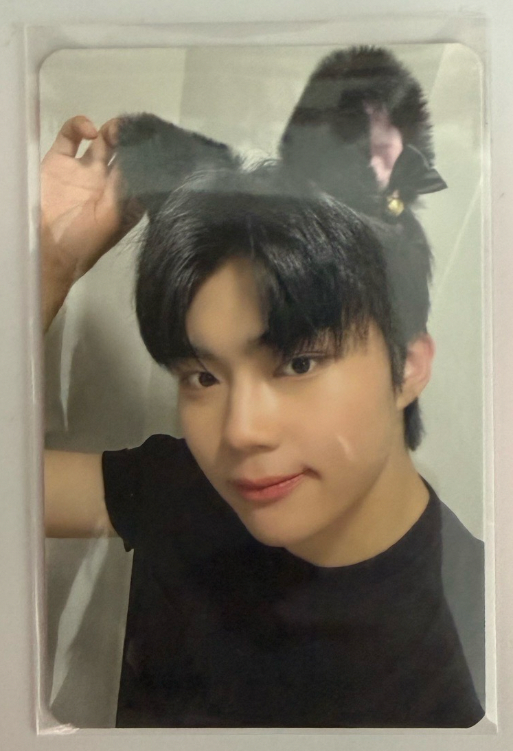 ZB1 迷一 ms1.0 特典卡 小卡 貓耳 朴乾旭 GUNWOOK