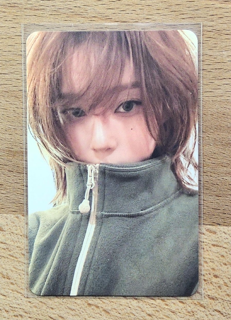 Drama 狼尾冬
