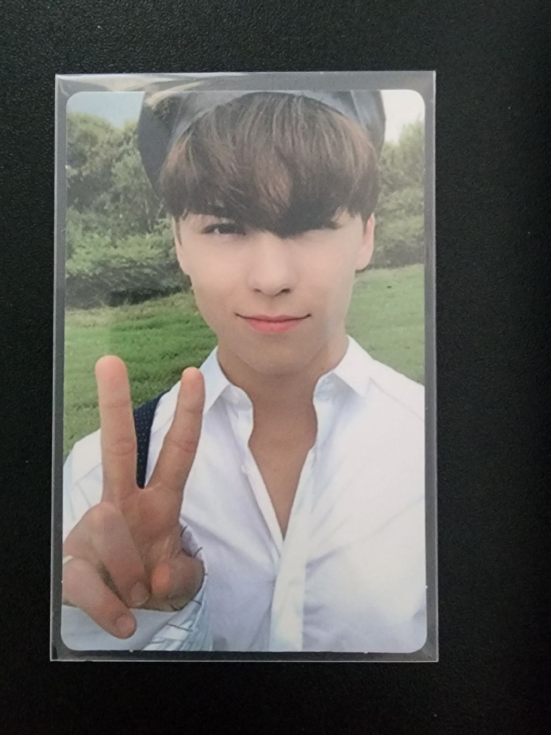 專卡系列-哲奎率