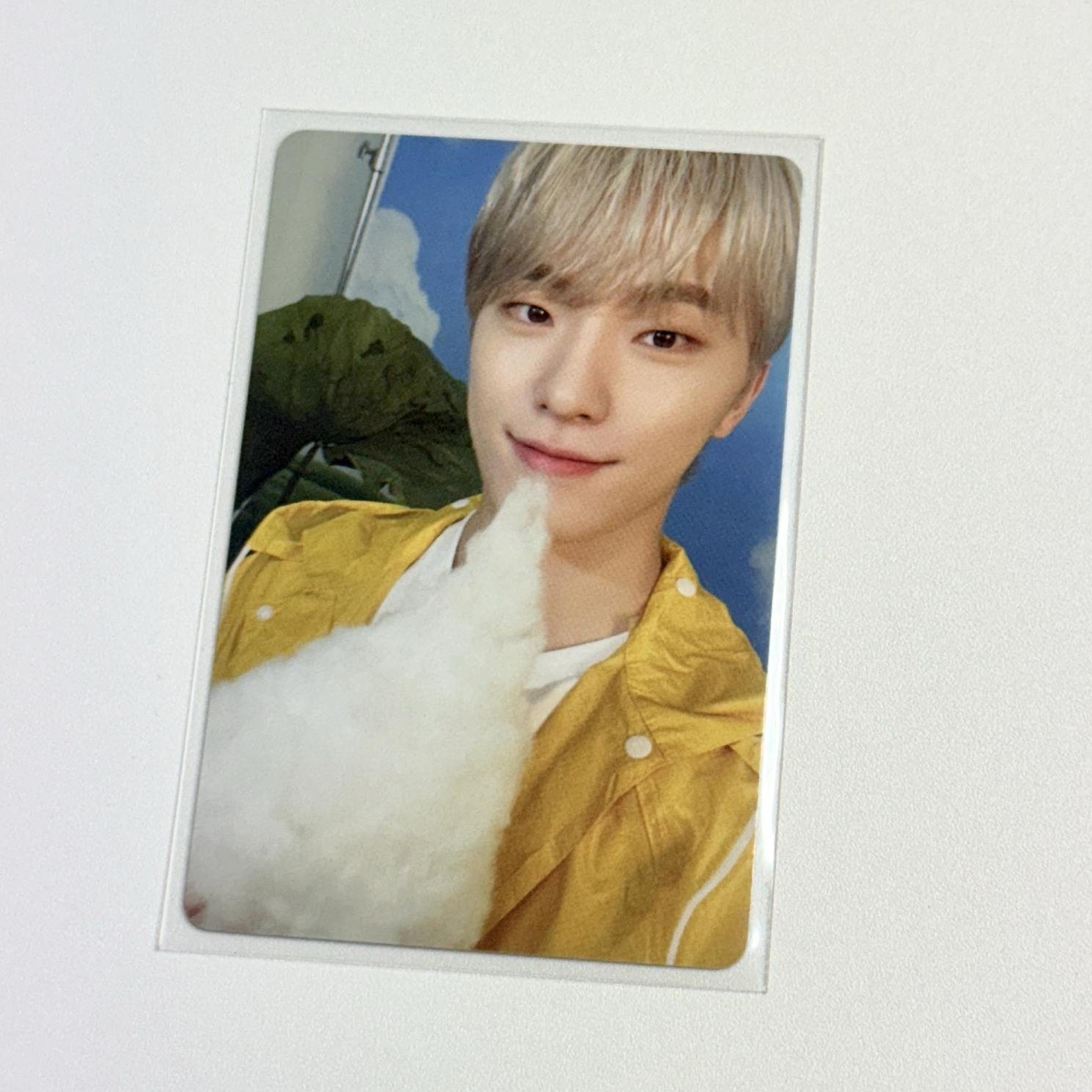 迷11雨衣 克拉盤 隨機卡 燦