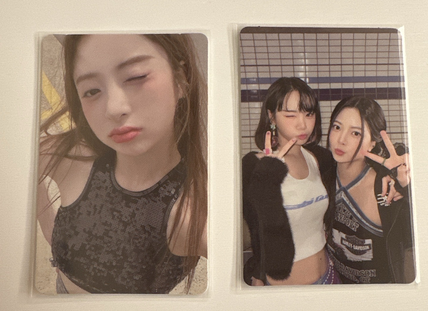 antifragile 單封小卡 