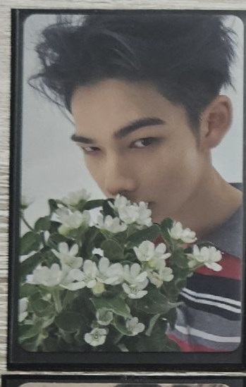 西村力日咖特典