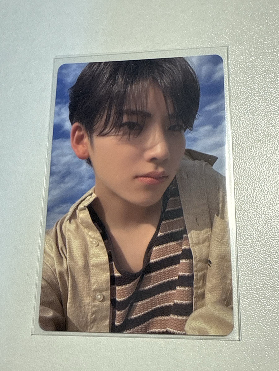 這張真的很美誰懂