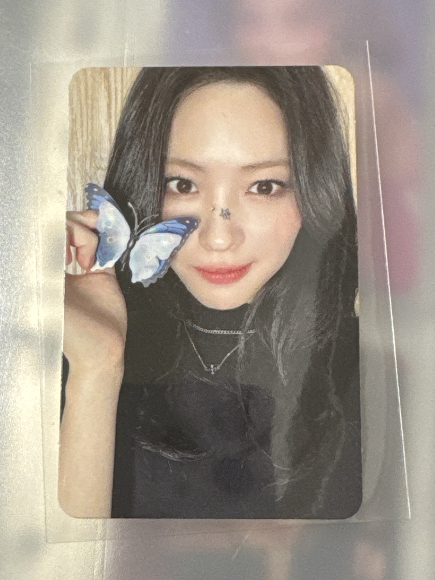 ms Ryujin 蝴蝶