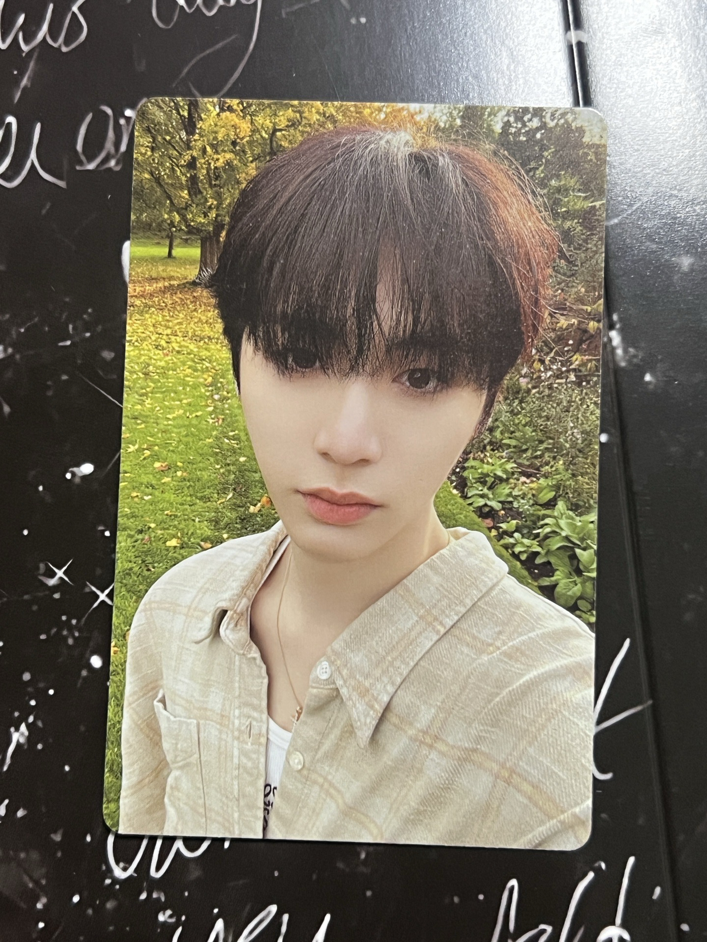 HOW? 專輯卡 漢泰山