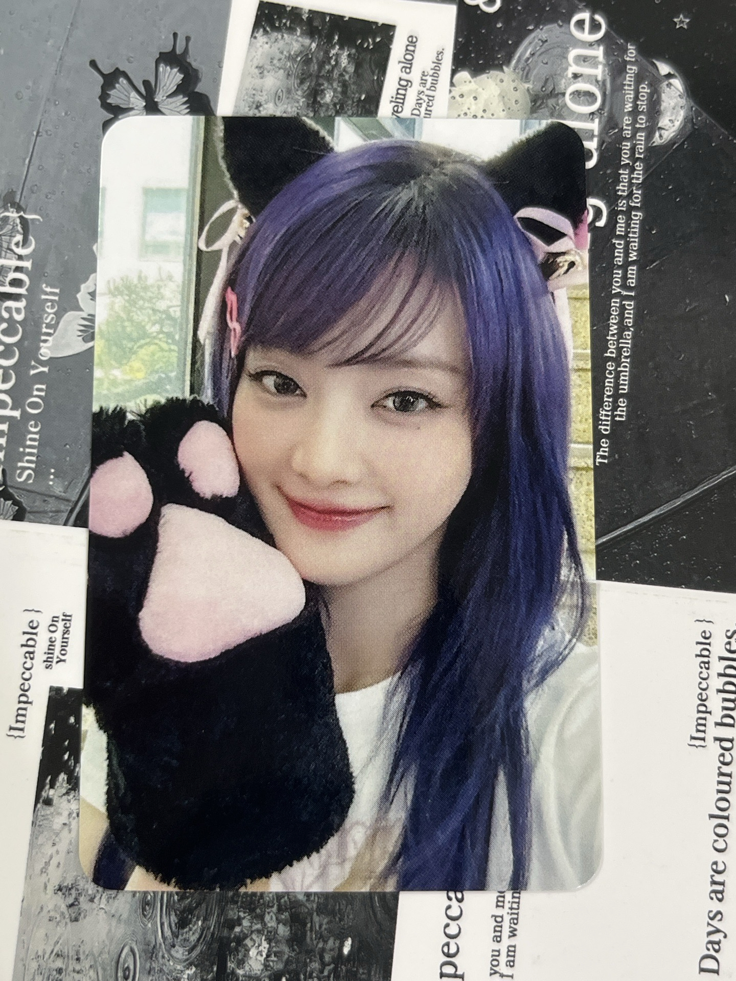 muvve3.0貓抓妮🐱