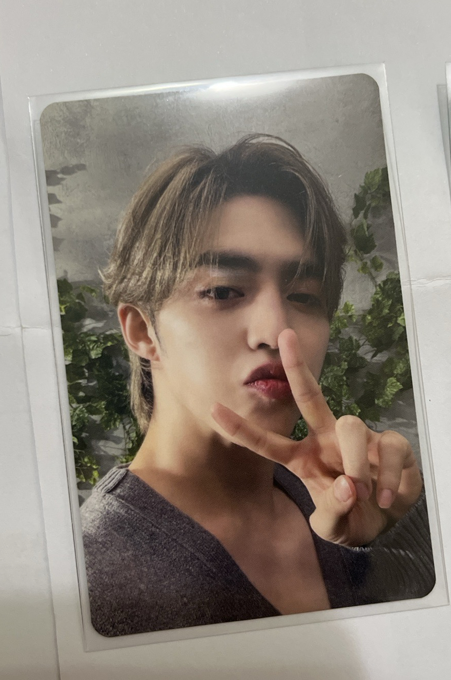 哲消費期限B盤專卡