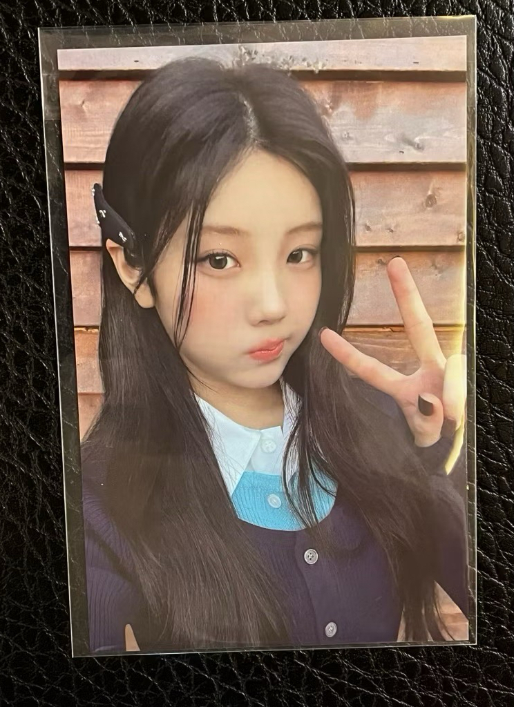 wonhee（wvs）