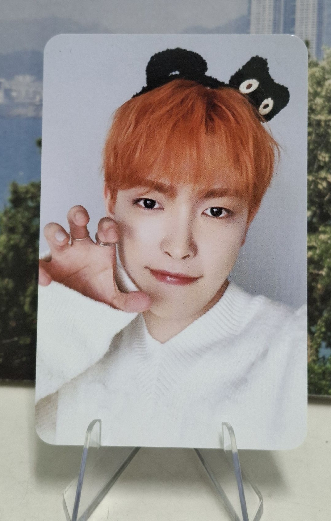 弘中 橘髮爪爪特典小卡