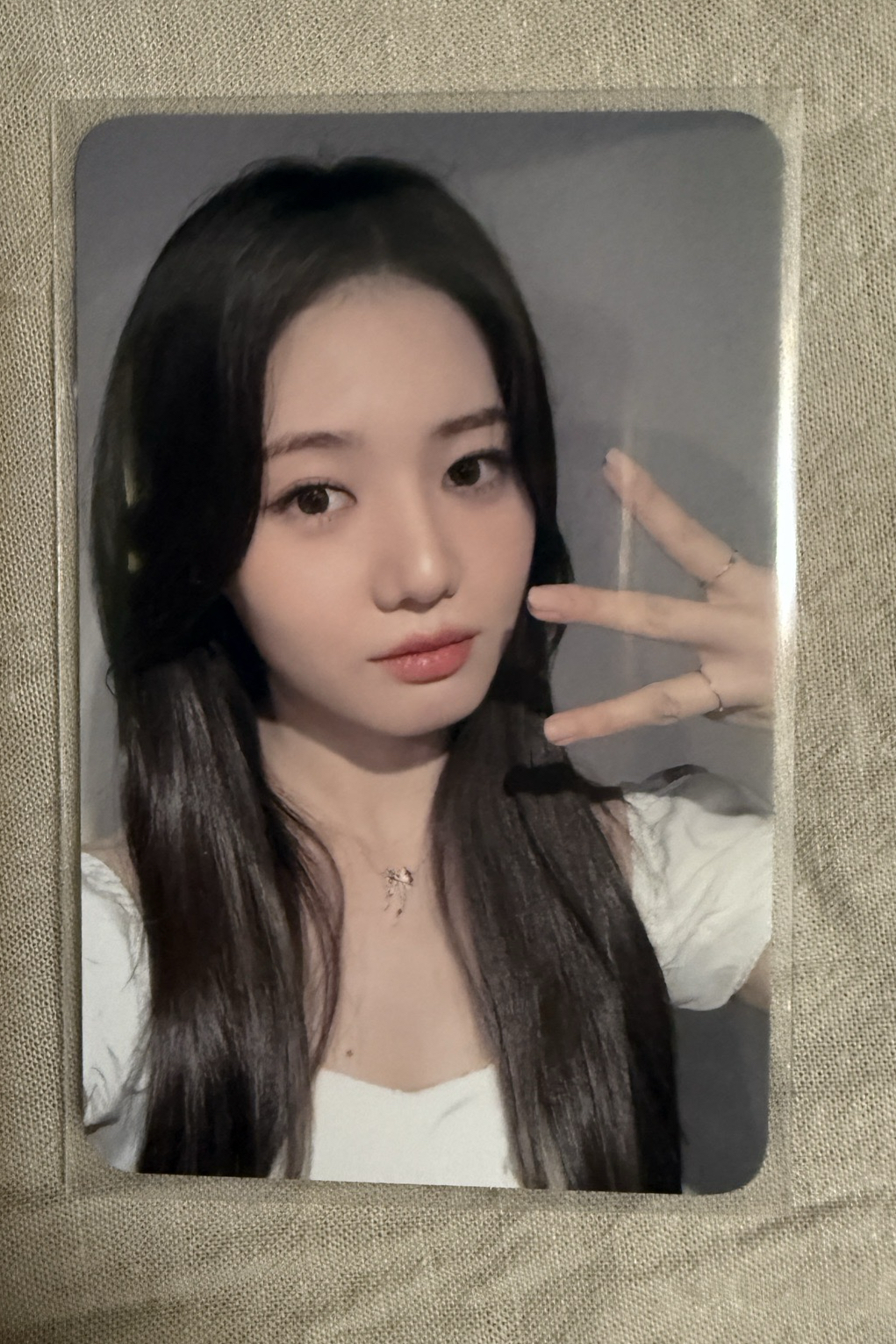 mini1 台北簽售茶