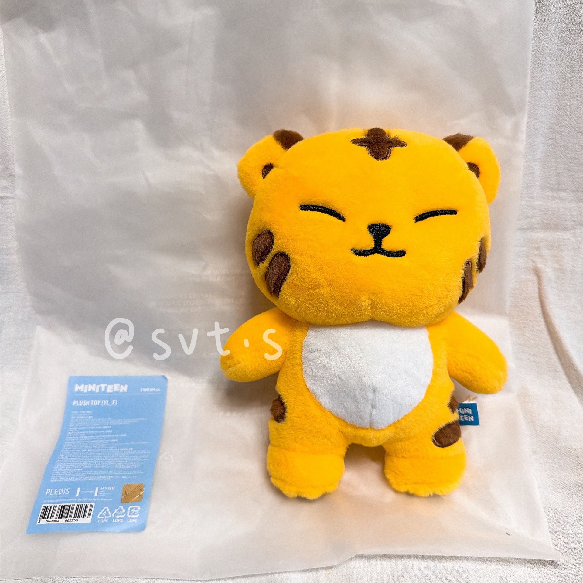 全新 SEVENTEEN MINITEEN 站姿娃娃 TAM TAM 馬尼拉快閃店購入