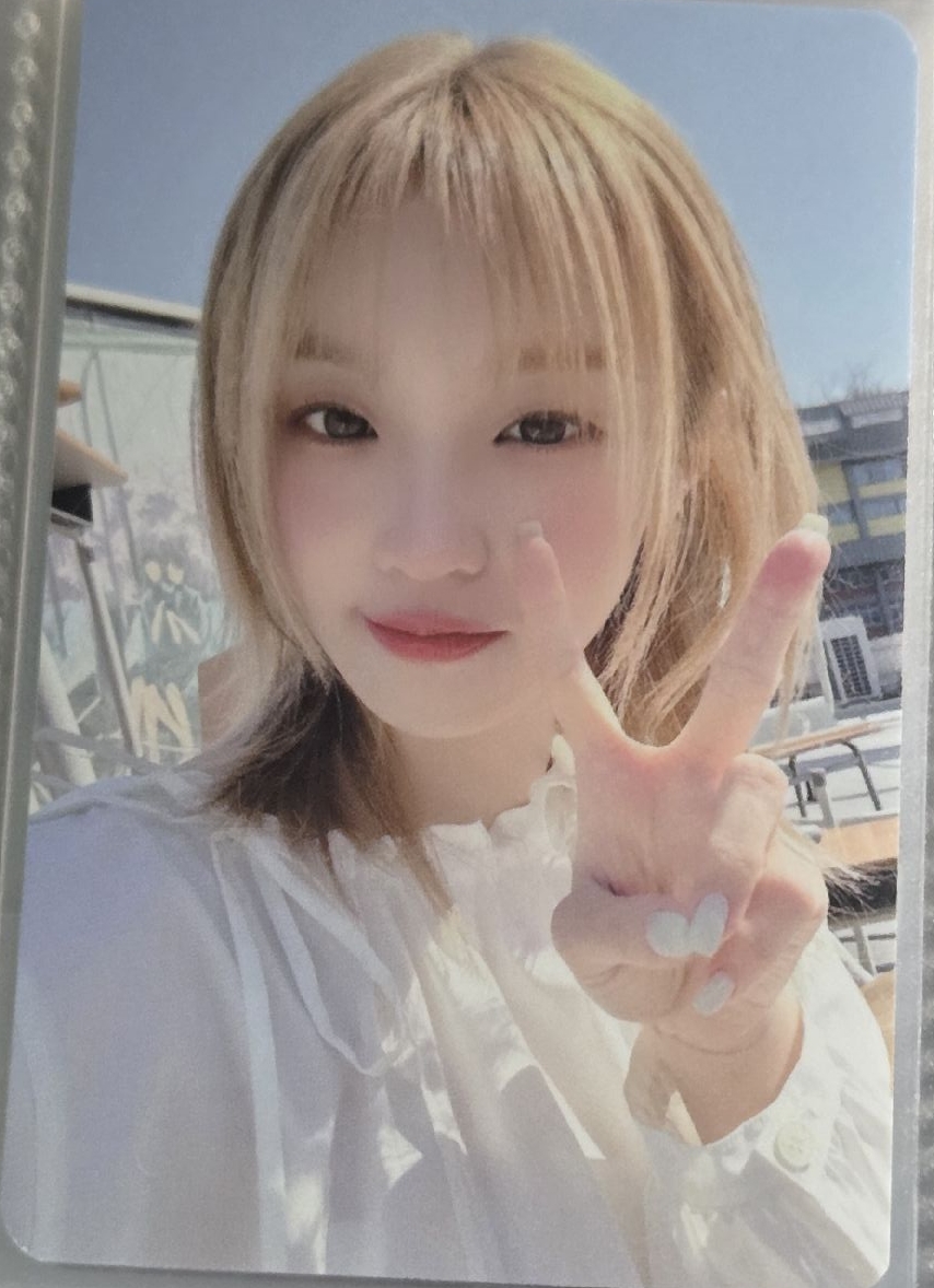 正規二 ms 9.0 簽售卡 fate琦