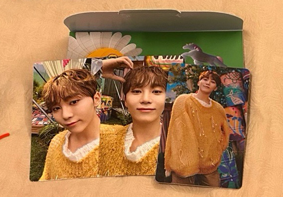 seventeen 勝寛 mini11 電子專 wvs專 未掃