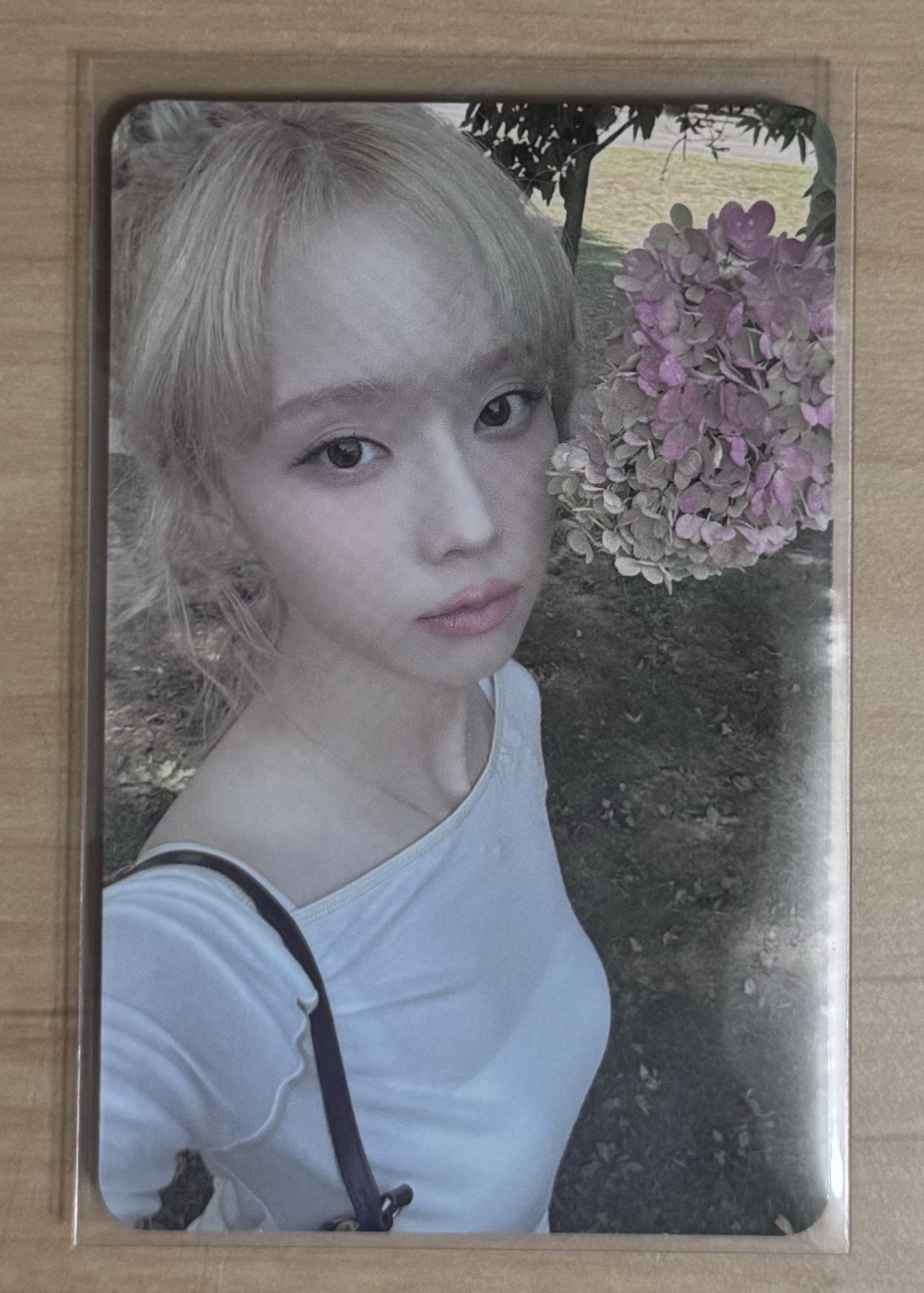 whiplash sm幸運卡冬