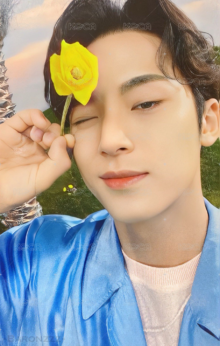 正規四後續（含kit，小卡為奎)