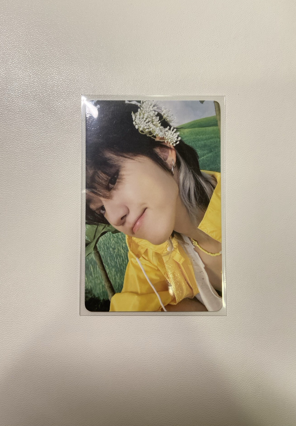 八 迷十一克拉盤