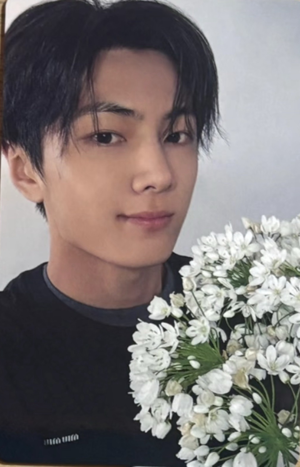 日專Yoi日咖特典星