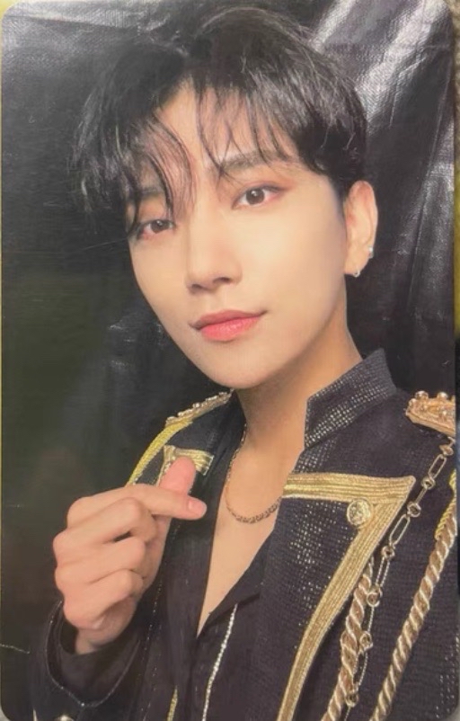 🦌秀 be the sun 世巡DVD卡