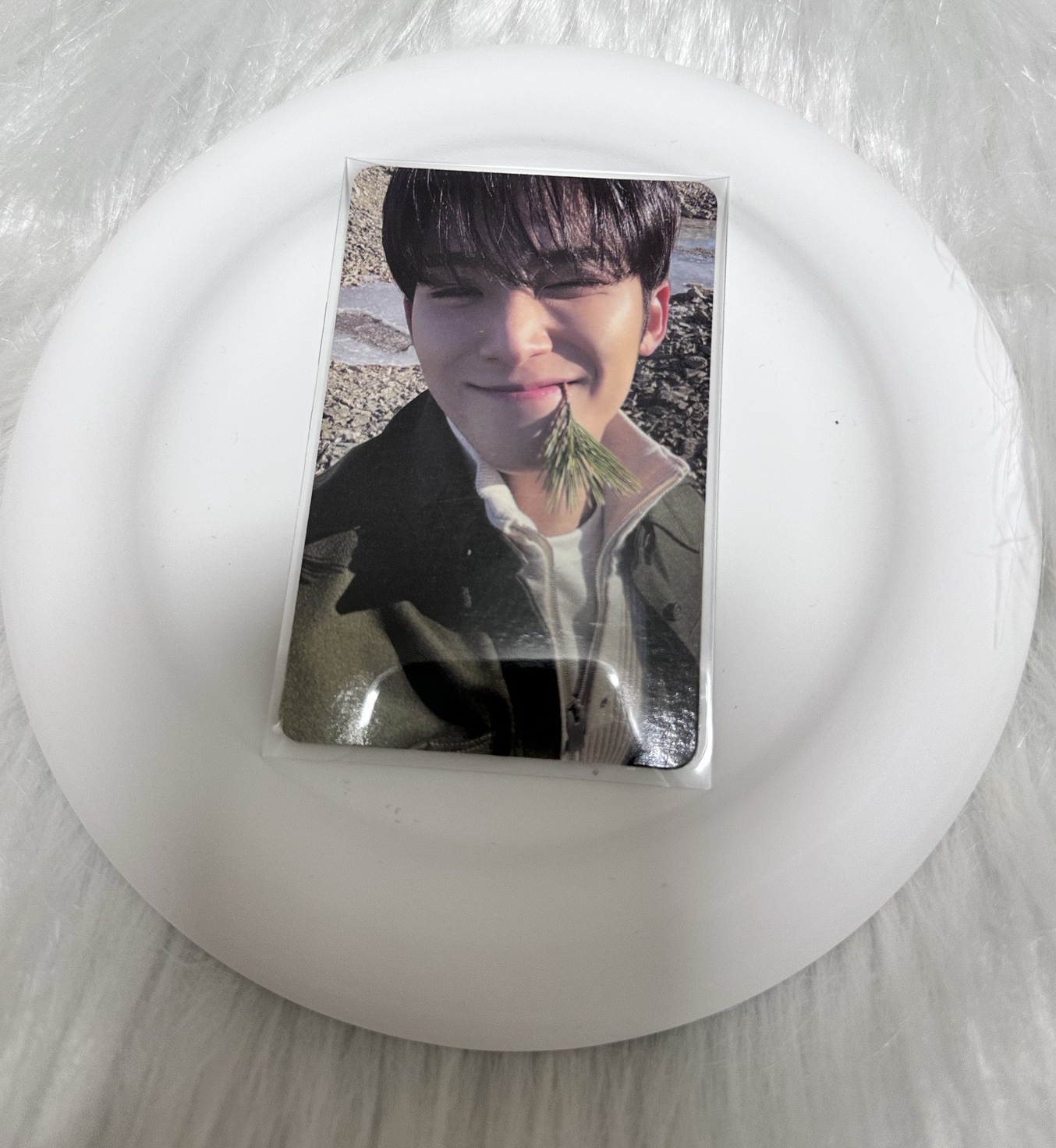 正四咬草奎🐶｜價格已含綁