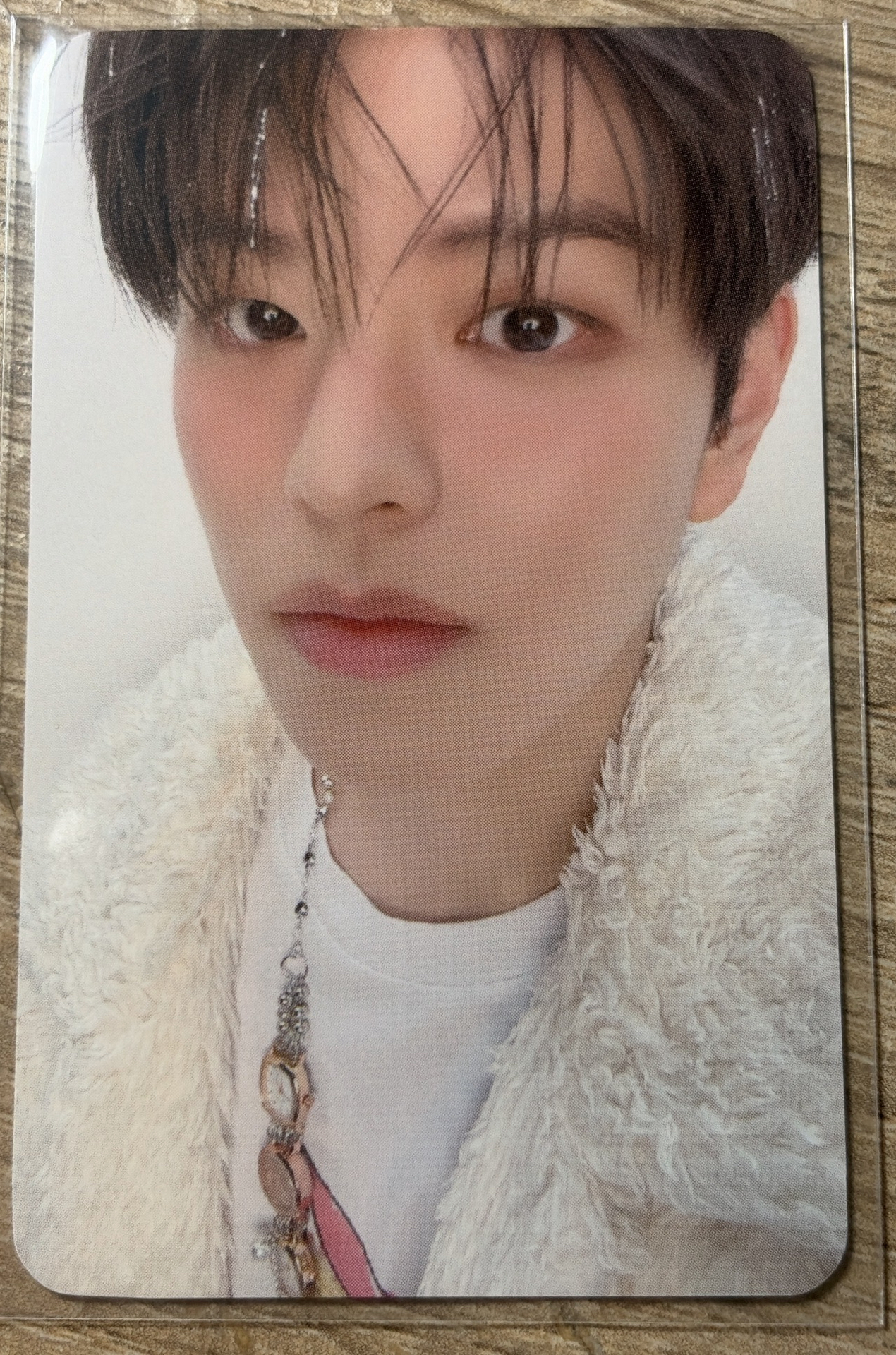 五期飯咪線上滿額玟