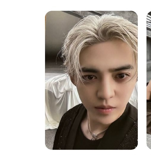 [拆售]  💎 哲(小卡+明信片)