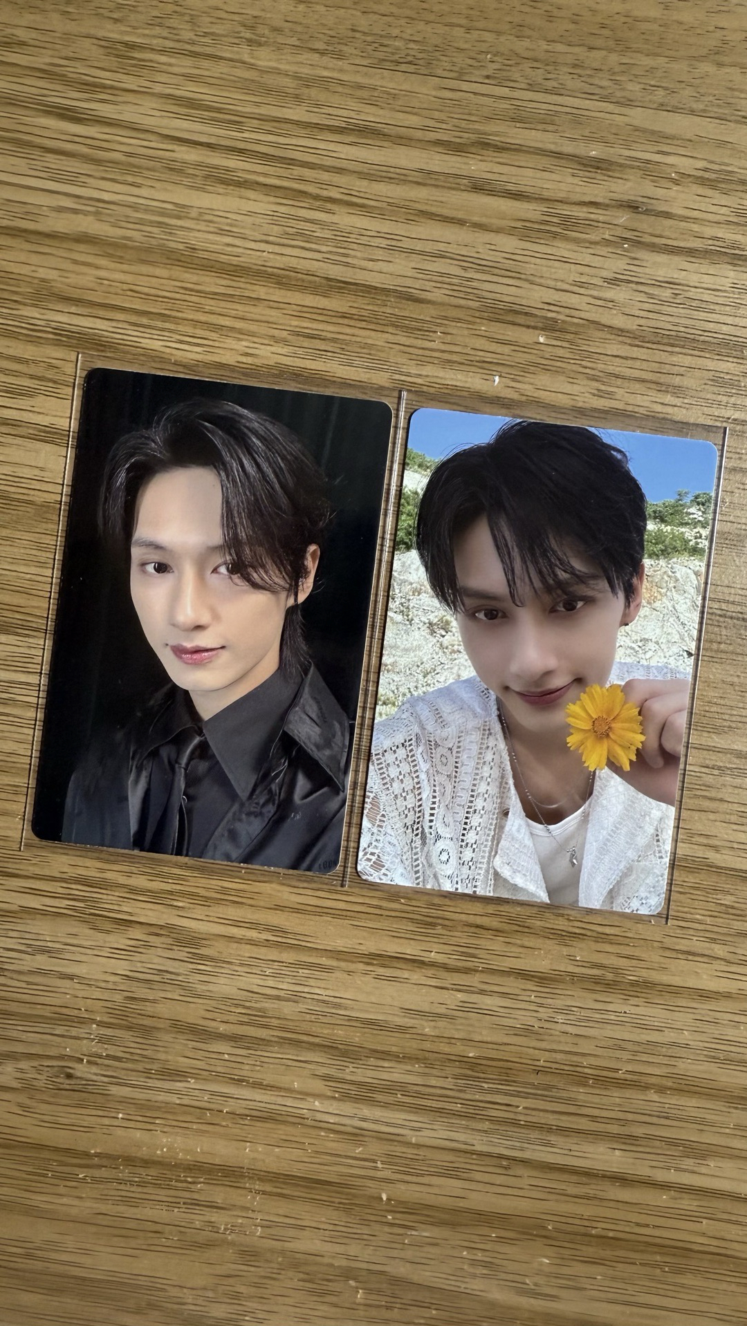 seventeen Jun 演唱會DVD卡