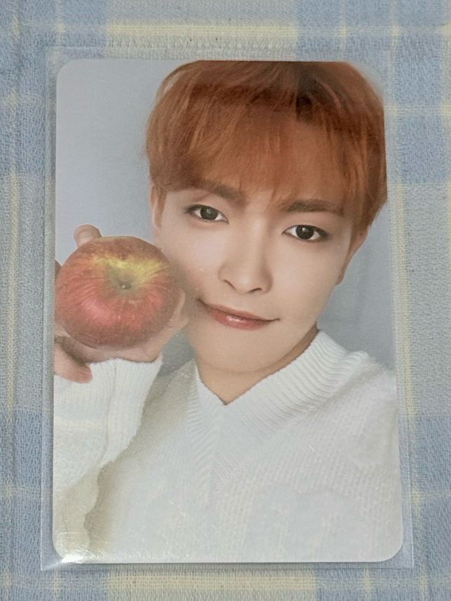 金弘中｜賣蘋果的小松鼠