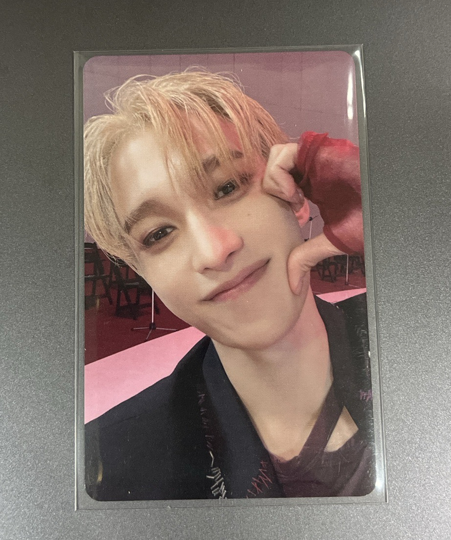 精選專 wvs大阪場限 碩