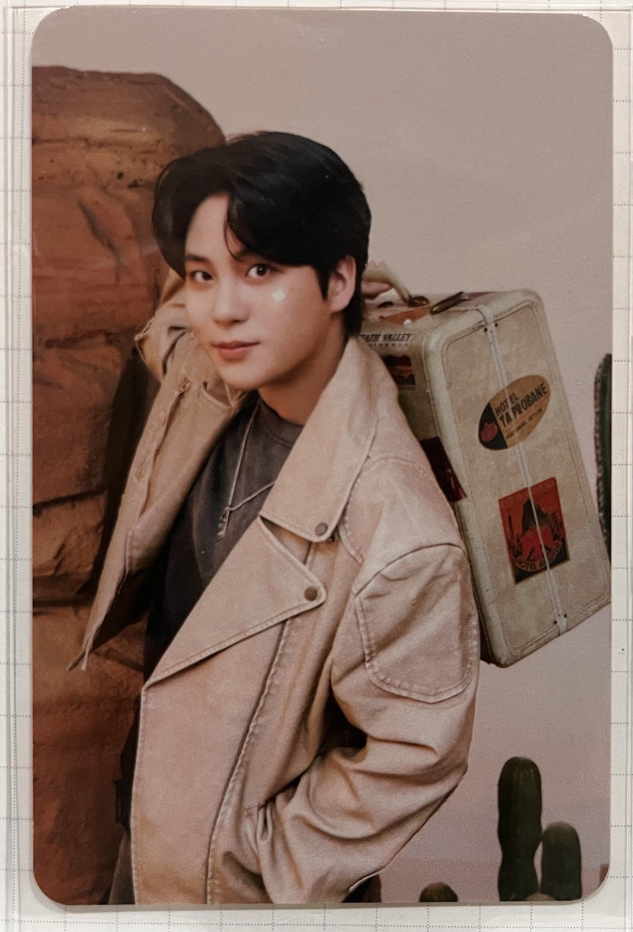 ANITEEZ隨機卡+檸檬🧱 鍾浩