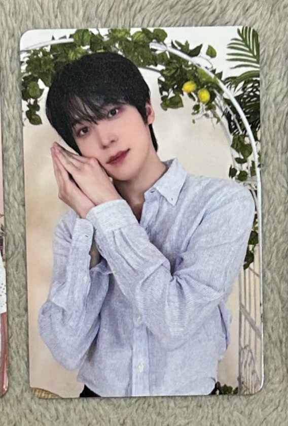 非現  11月底抵台 潤