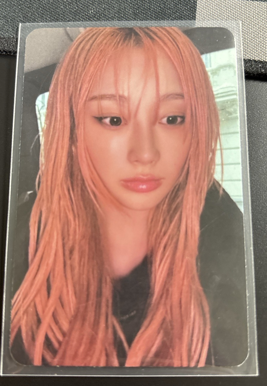 專卡吉 呆萌呆萌的