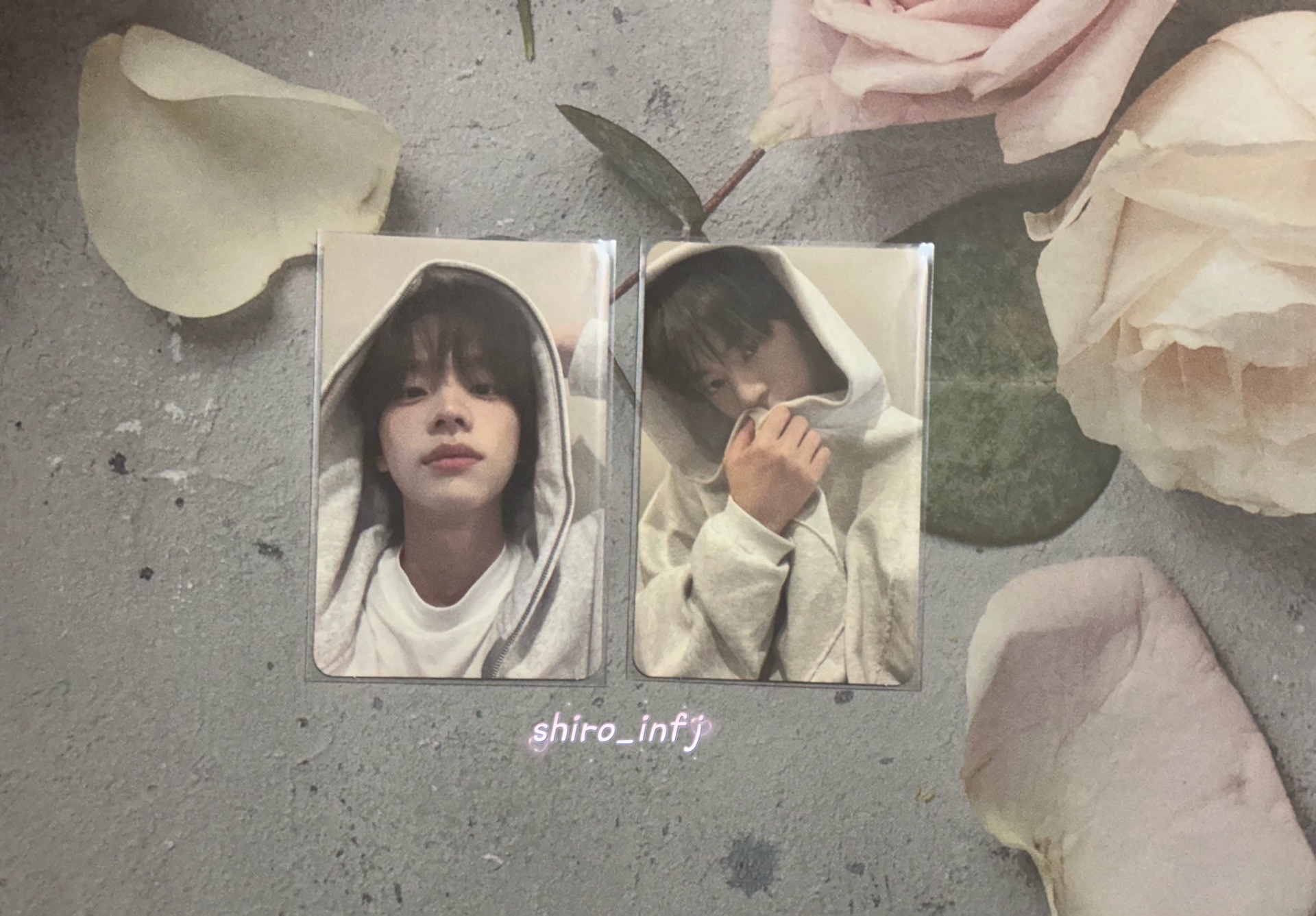 TWS 電子專卡｜申惟｜道勳｜…