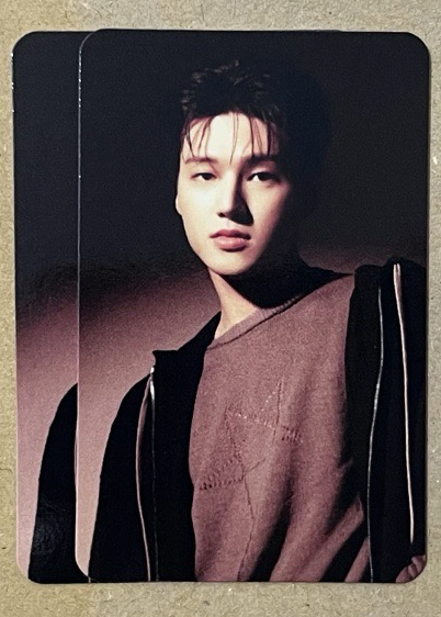 🐈‍⬛🐈‍⬛