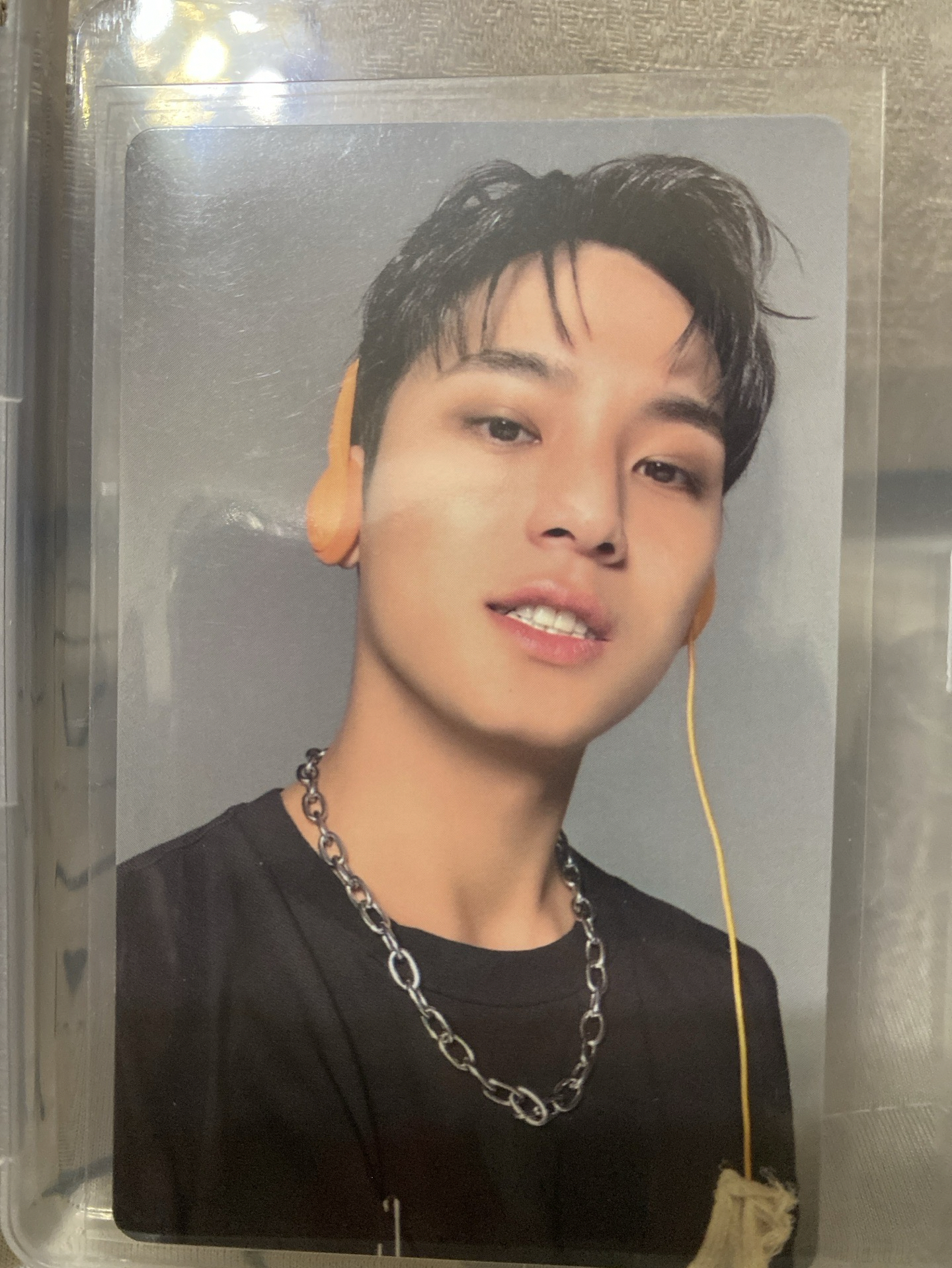 mini12 奎 wvs特典